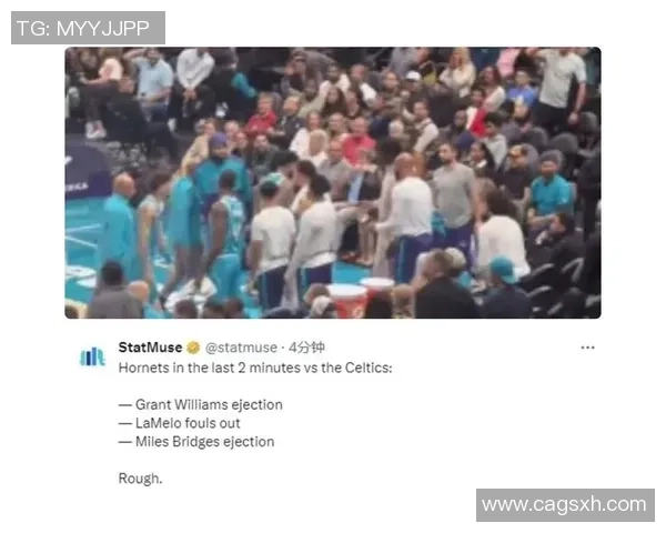 黄蜂与凯尔特人精彩对决全场录像回放及精彩瞬间解析