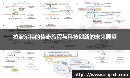 拉波尔特的传奇旅程与科技创新的未来展望